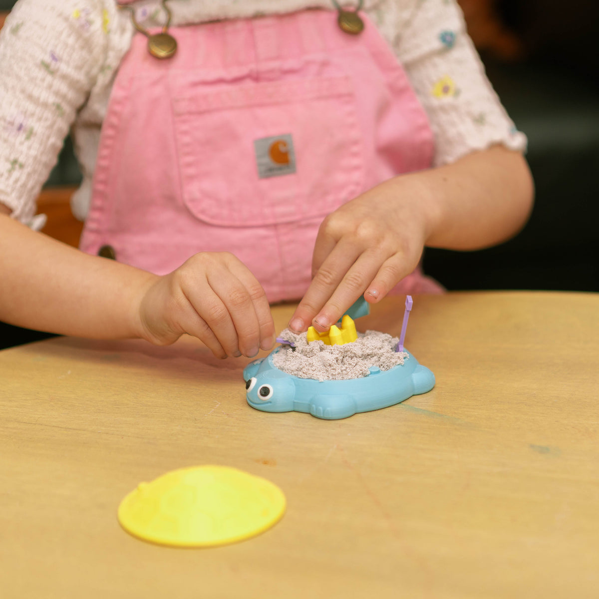 Turtle Sandbox